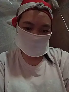 Hiha-nn webcam