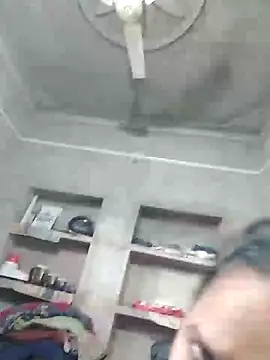Loomaraj webcam