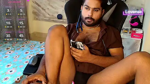 SilverShade3 webcam