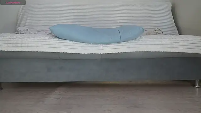Fecvht45 webcam