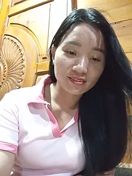 Td3di webcam