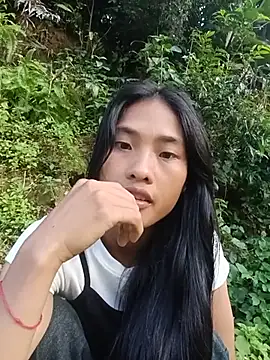 Hoa-tuylip