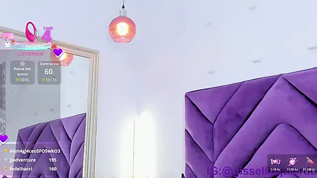 Liincostelloo webcam
