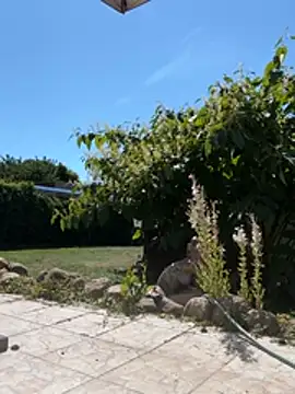 LaraPunkt webcam