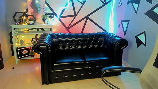 LidaDarknet webcam
