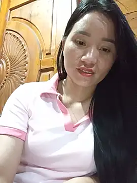 Td3di webcam