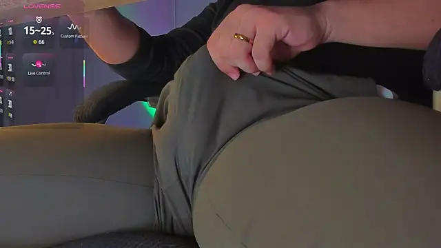 BulgeArt webcam