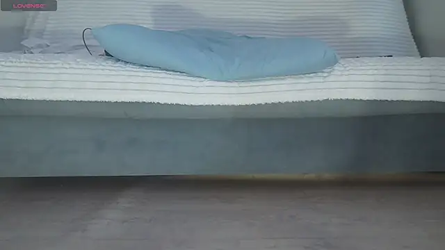 Fecvht45 webcam