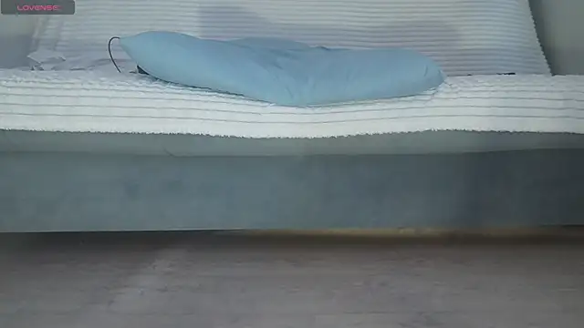 Fecvht45 webcam