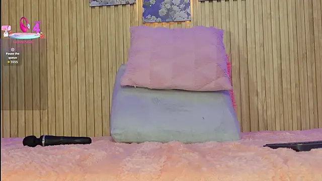 Moonceleste webcam