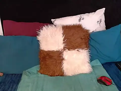 BaselBlues webcam