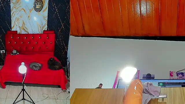 ailany_funny webcam