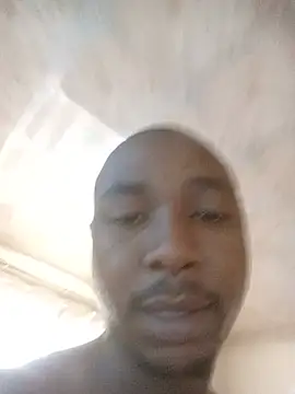 bandile3d