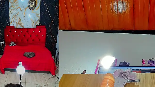 ailany_funny webcam