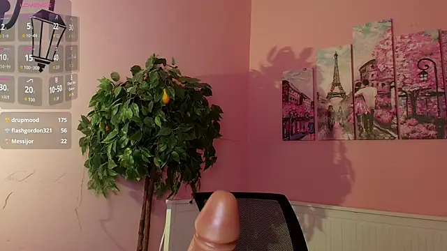 Inari_Okami_ webcam