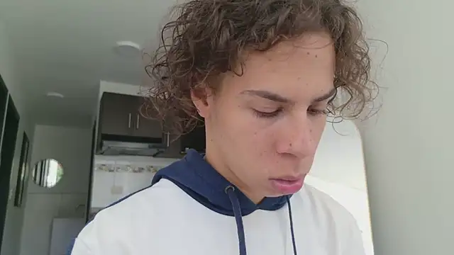grey___27 webcam