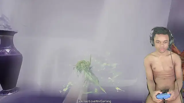 lovemirgaming