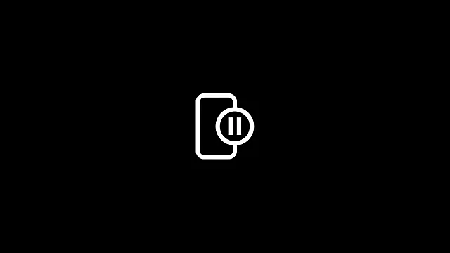 biswvaseth webcam