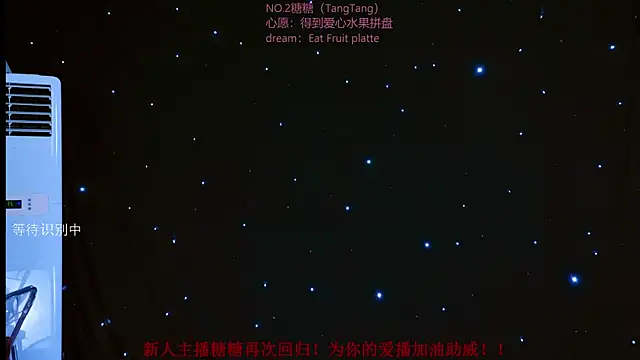 CCTW-100 webcam