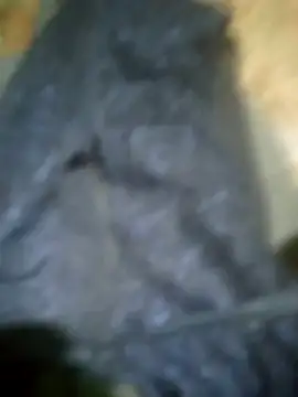 Elchabondestrip webcam