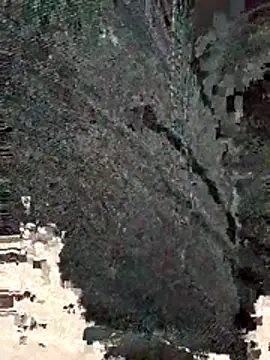 honbok webcam