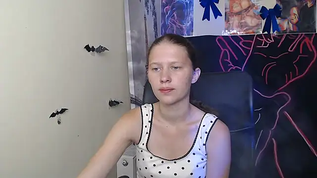 StellaCRL webcam