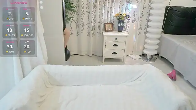 LIN-AN webcam