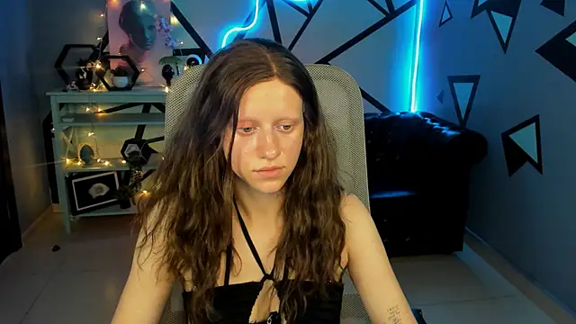LidaDarknet webcam