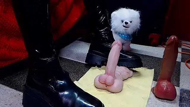 Hannamariana webcam