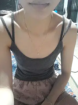 Li-Li12 webcam