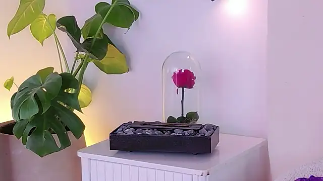 ABY509 webcam
