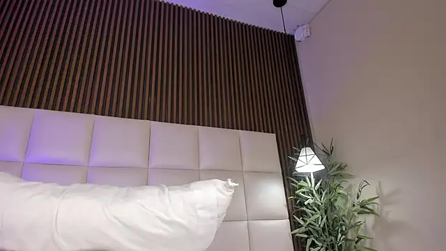 Laurent__x webcam