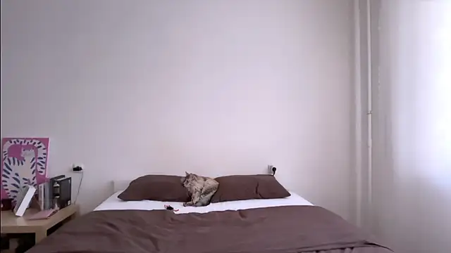 Milky___Way webcam