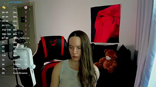 Vulgar_Tamer