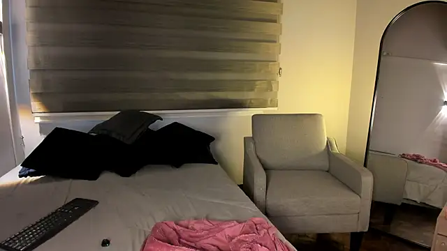 MERIDA_TAYLOR webcam
