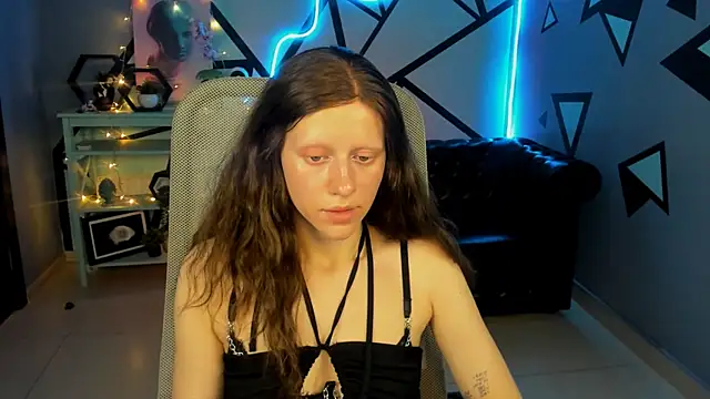 LidaDarknet webcam
