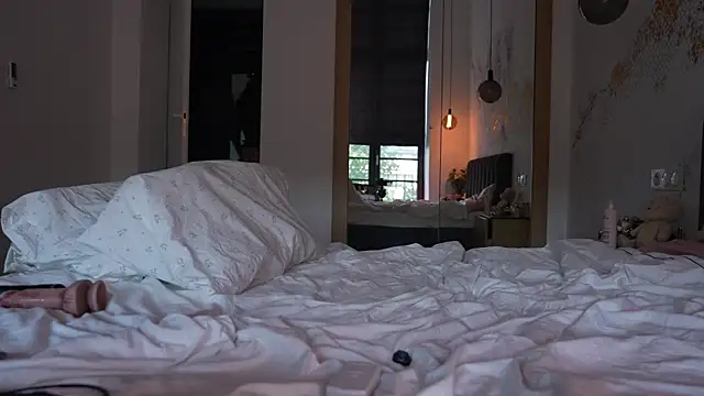 ibiddi webcam