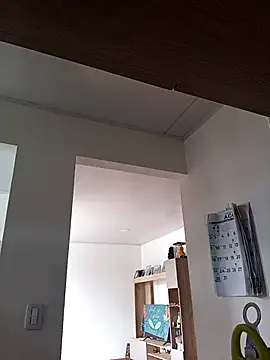 _AmyPresley_ webcam