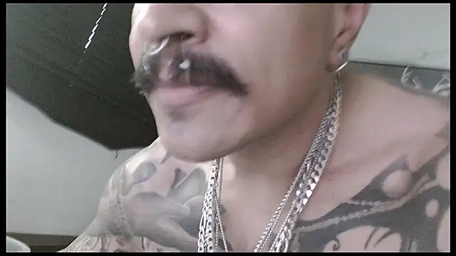 danilog515 avatar