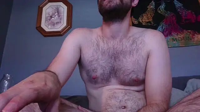 hpluvsplata webcam