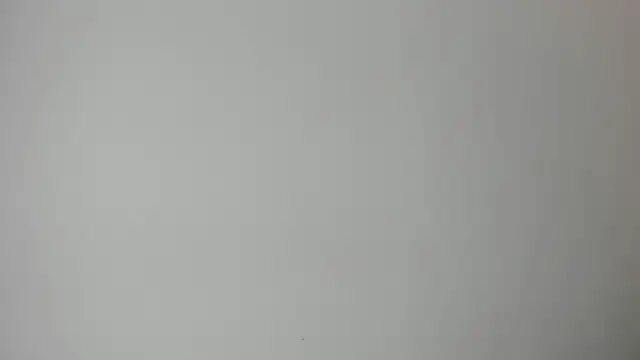 ebi_velvet webcam