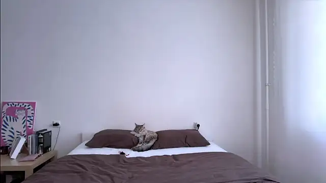 Milky___Way webcam
