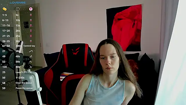 Vulgar_Tamer