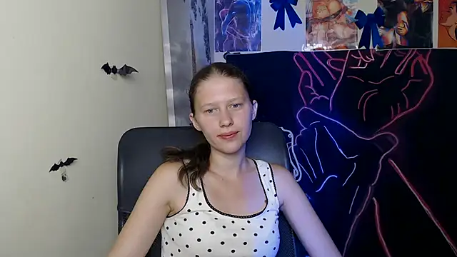 StellaCRL webcam