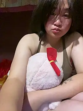 ha-cute webcam