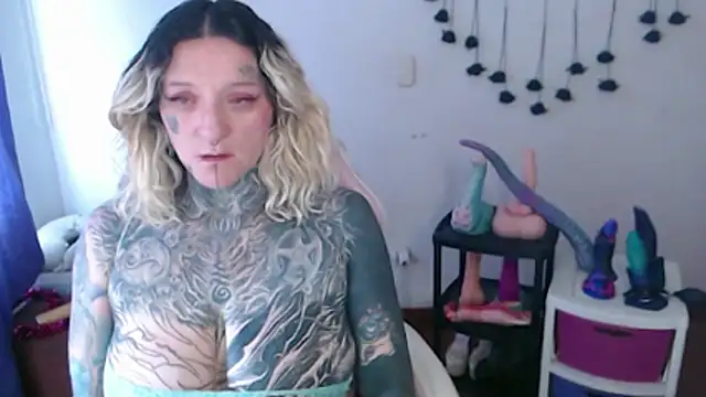 SLOPPYTITSS webcam