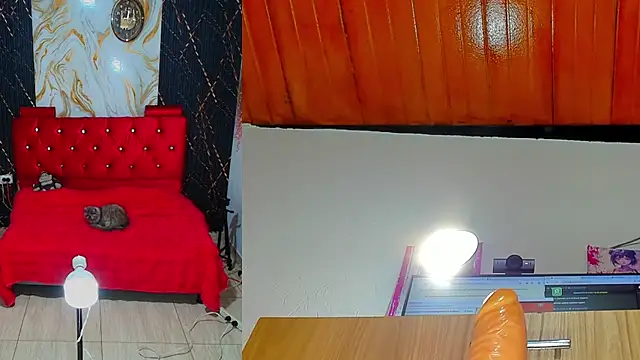 ailany_funny webcam