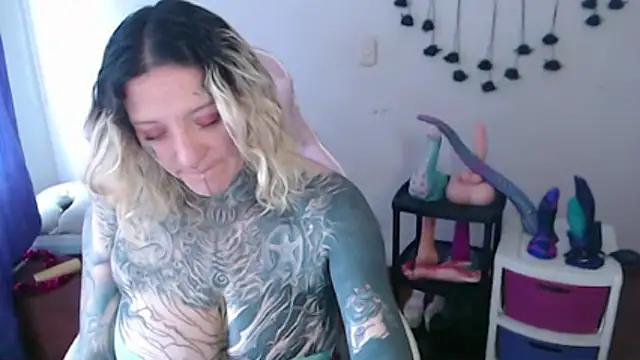 SLOPPYTITSS webcam