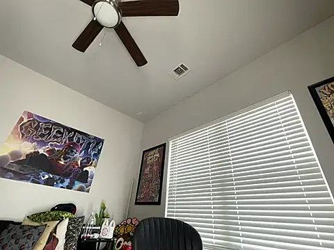 4EVAGLACIERS webcam