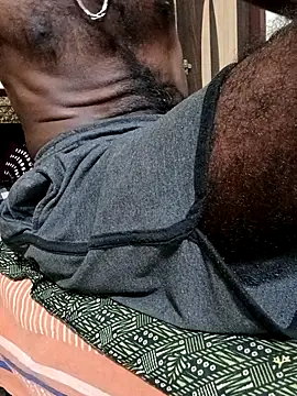 Chocolate_stud10 webcam